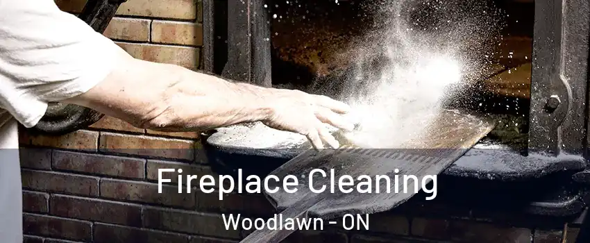  Fireplace Cleaning Woodlawn - ON