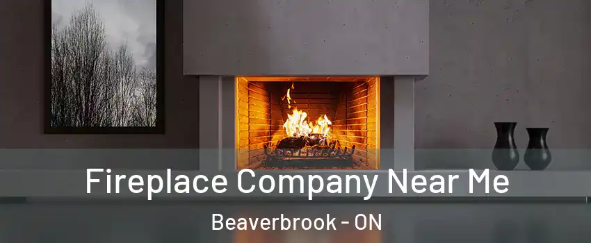  Fireplace Company Near Me Beaverbrook - ON