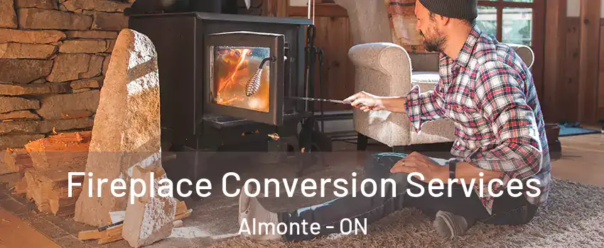  Fireplace Conversion Services Almonte - ON
