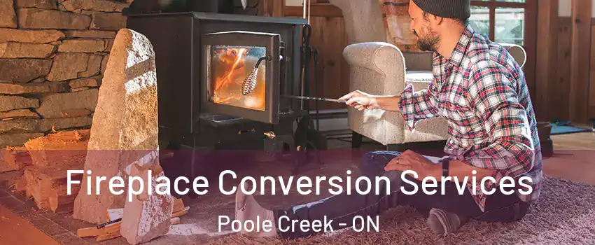  Fireplace Conversion Services Poole Creek - ON