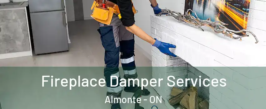Fireplace Damper Services Almonte - ON