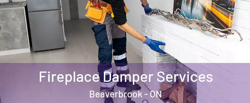  Fireplace Damper Services Beaverbrook - ON