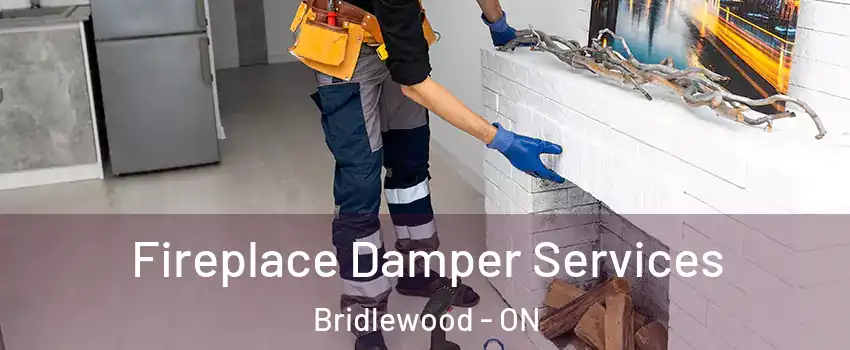  Fireplace Damper Services Bridlewood - ON