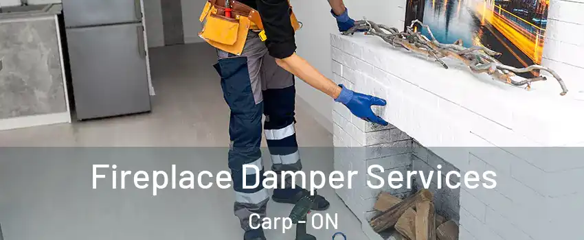  Fireplace Damper Services Carp - ON