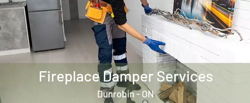  Fireplace Damper Services Dunrobin - ON