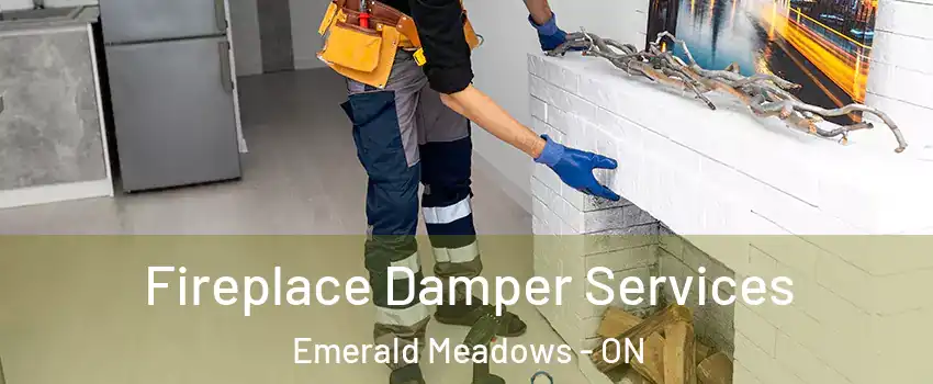 Fireplace Damper Services Emerald Meadows - ON