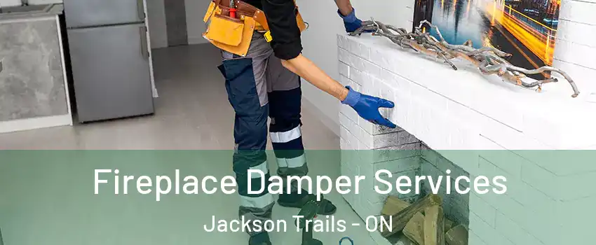  Fireplace Damper Services Jackson Trails - ON