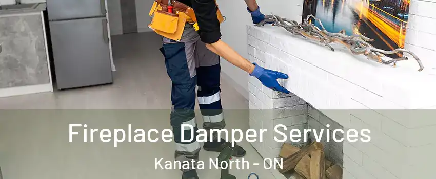  Fireplace Damper Services Kanata North - ON