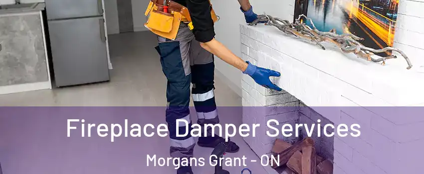  Fireplace Damper Services Morgans Grant - ON