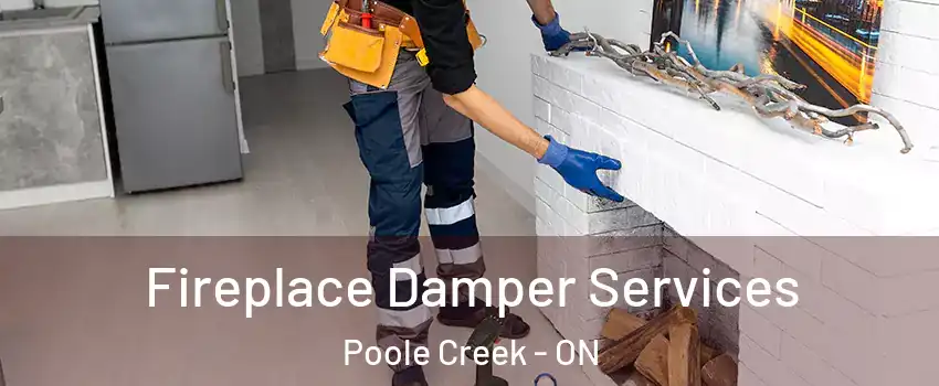  Fireplace Damper Services Poole Creek - ON