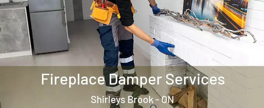  Fireplace Damper Services Shirleys Brook - ON