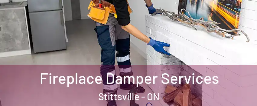  Fireplace Damper Services Stittsville - ON