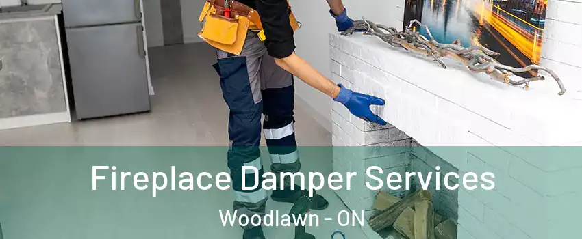  Fireplace Damper Services Woodlawn - ON