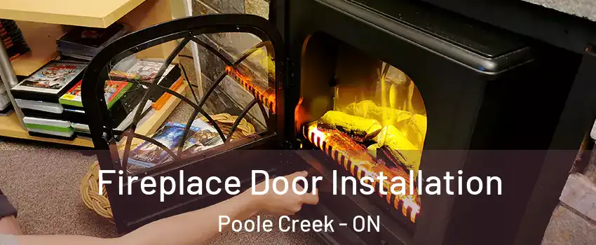  Fireplace Door Installation Poole Creek - ON