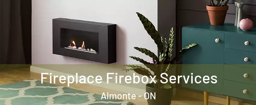  Fireplace Firebox Services Almonte - ON
