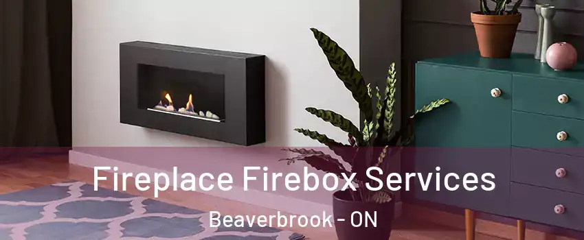  Fireplace Firebox Services Beaverbrook - ON