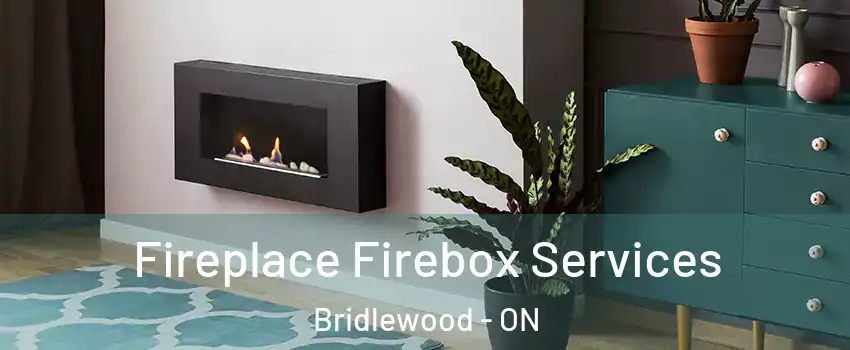  Fireplace Firebox Services Bridlewood - ON