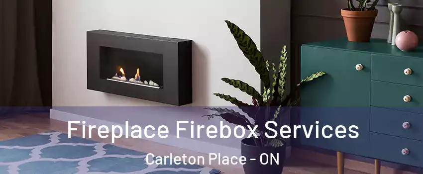  Fireplace Firebox Services Carleton Place - ON