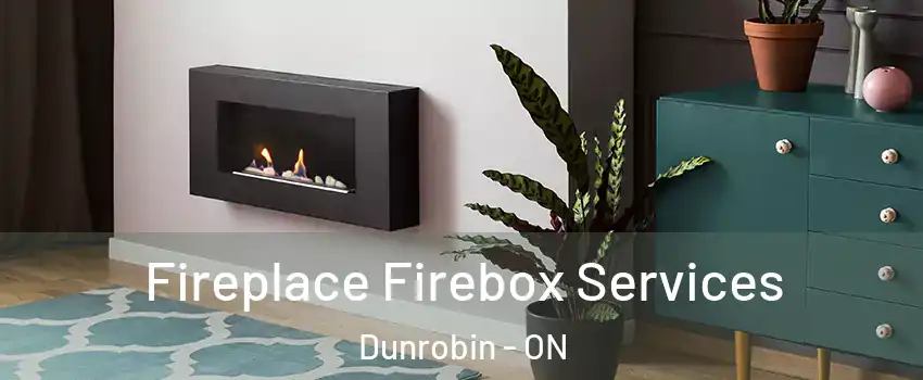  Fireplace Firebox Services Dunrobin - ON