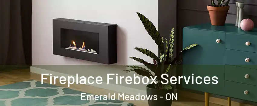 Fireplace Firebox Services Emerald Meadows - ON