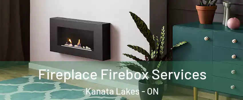  Fireplace Firebox Services Kanata Lakes - ON