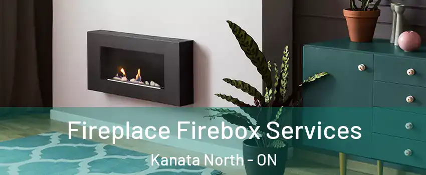  Fireplace Firebox Services Kanata North - ON