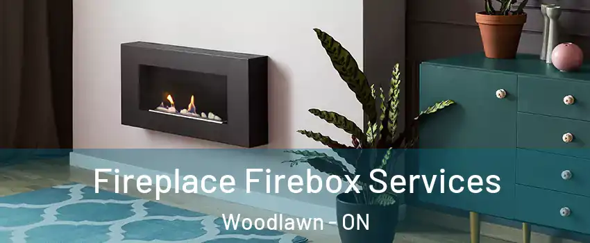  Fireplace Firebox Services Woodlawn - ON