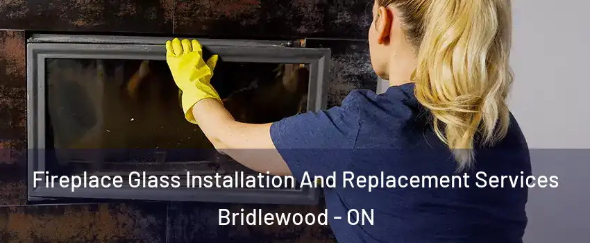  Fireplace Glass Installation And Replacement Services Bridlewood - ON