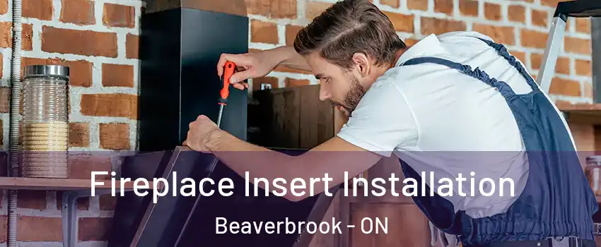  Fireplace Insert Installation Beaverbrook - ON