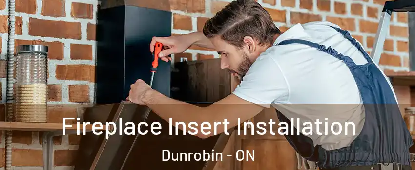  Fireplace Insert Installation Dunrobin - ON