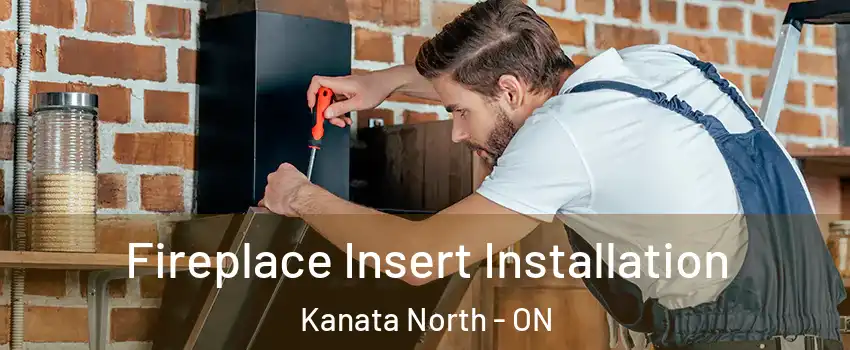  Fireplace Insert Installation Kanata North - ON