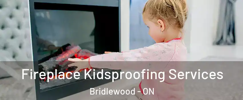  Fireplace Kidsproofing Services Bridlewood - ON