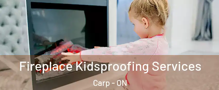  Fireplace Kidsproofing Services Carp - ON