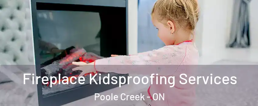  Fireplace Kidsproofing Services Poole Creek - ON