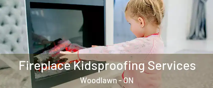  Fireplace Kidsproofing Services Woodlawn - ON