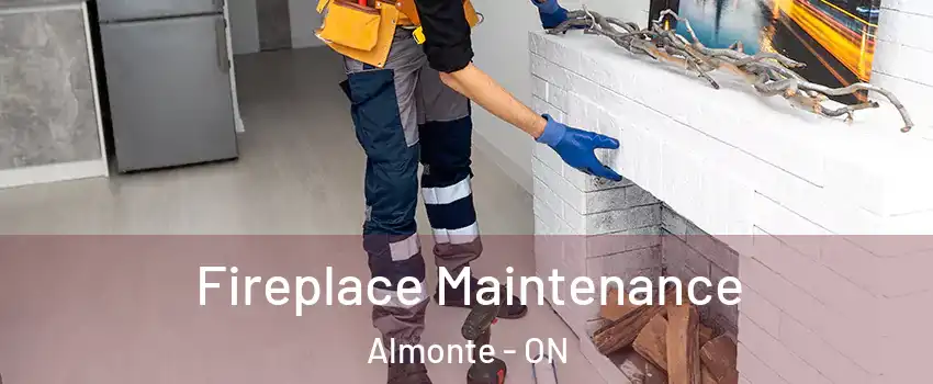  Fireplace Maintenance Almonte - ON