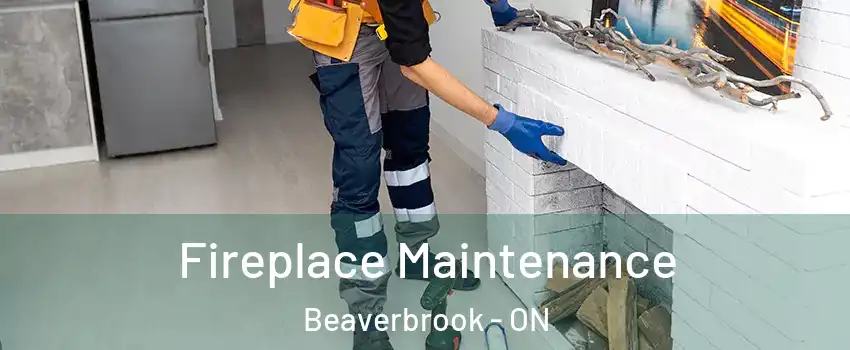  Fireplace Maintenance Beaverbrook - ON