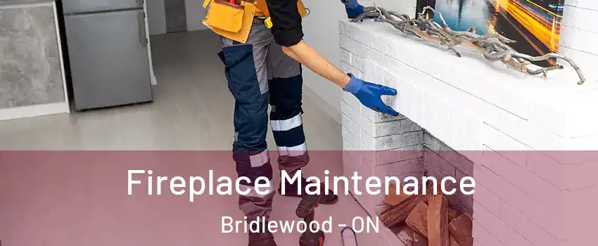  Fireplace Maintenance Bridlewood - ON