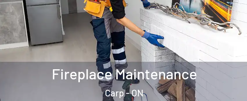  Fireplace Maintenance Carp - ON