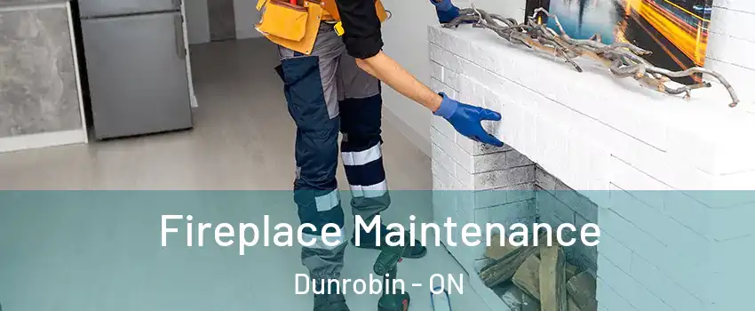  Fireplace Maintenance Dunrobin - ON