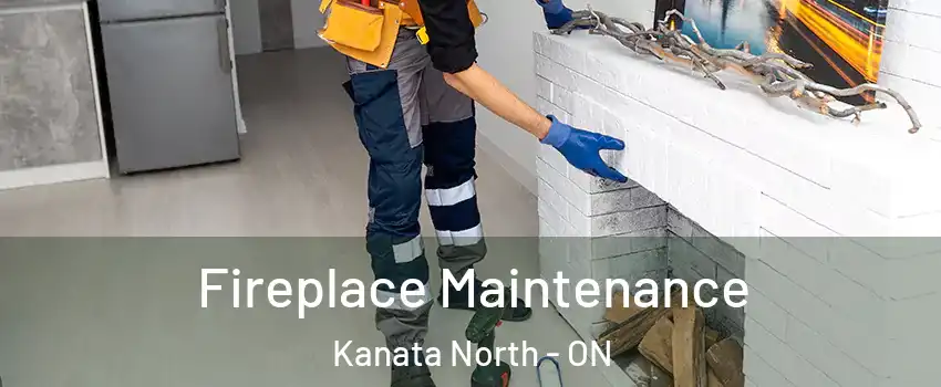  Fireplace Maintenance Kanata North - ON