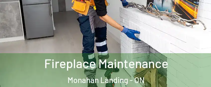  Fireplace Maintenance Monahan Landing - ON