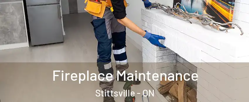  Fireplace Maintenance Stittsville - ON