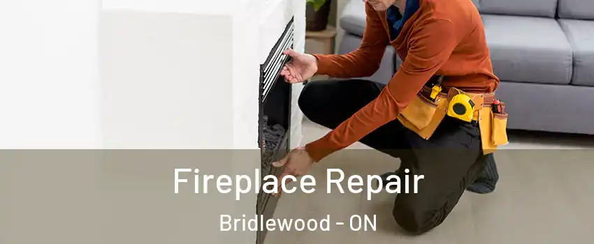  Fireplace Repair Bridlewood - ON