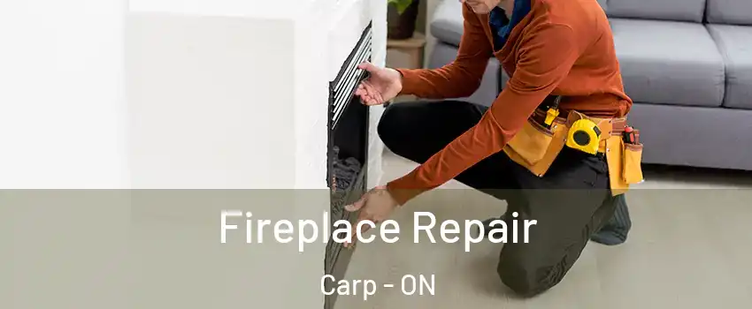  Fireplace Repair Carp - ON