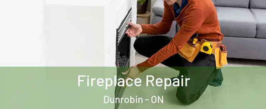  Fireplace Repair Dunrobin - ON