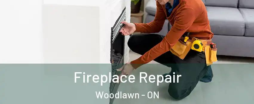 Fireplace Repair Woodlawn - ON