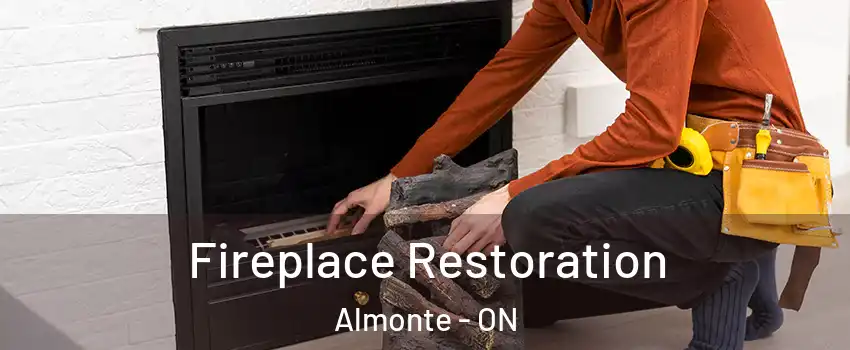  Fireplace Restoration Almonte - ON