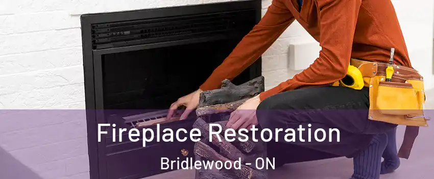  Fireplace Restoration Bridlewood - ON
