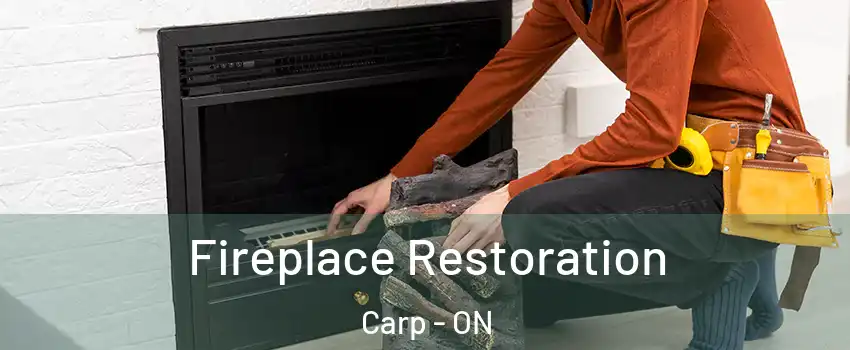  Fireplace Restoration Carp - ON